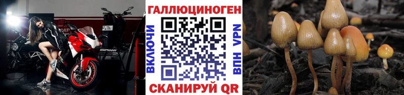Галлюциногенные грибы Psilocybine cubensis Сафоново