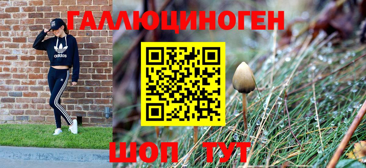 Галлюциногенные грибы мицелий Сафоново
