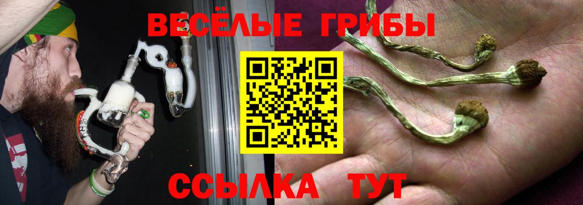 Сафоново  Галлюциногенные грибы мухоморы  Галлюциногенные грибы GOLDEN TEACHER  где продают наркотики  Вход с VPN 